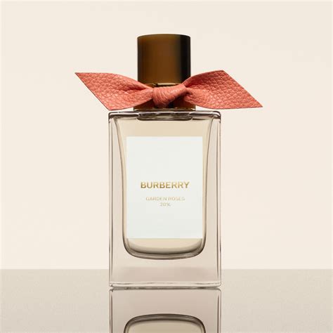 burberry rosehip|Burberry signatures garden roses.